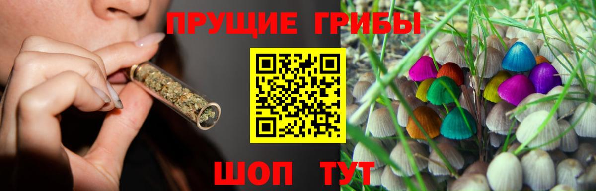 Псилоцибиновые грибы MAGIC MUSHROOMS  Вход с VPN  Сосновый Бор 
