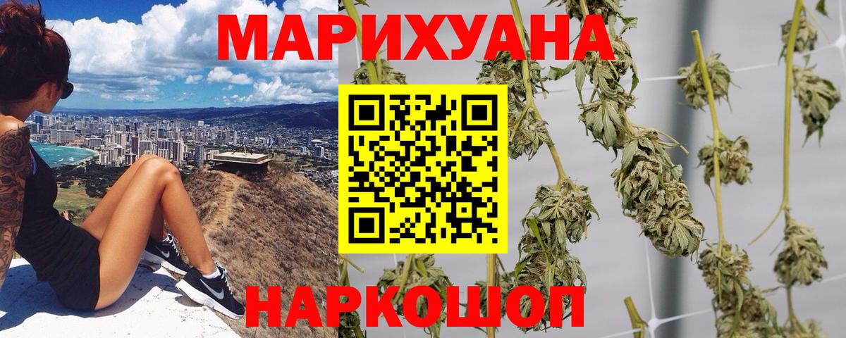 Каннабис сатива Сосновый Бор